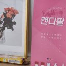 캔디피부관리실 네이버블로그