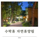 커피나무휴 | 수락휴 자연휴양림 4인실, 왜 예약 전쟁인 줄 알겠더라고요, 100% 찐 후기