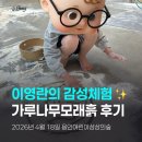 예술놀이터서툰소리 | 🎨 7세 아이와 이영란의 감성체험 가루나무모래흙 후기｜용인어린이상상의숲 예술놀이터
