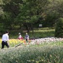 고운식물원 이미지