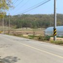 이시발 묘소 이미지