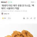 &#39;흑돼지&#39;라던 제주 유명 돈가스집, &#39;백돼지&#39; 사용하다 적발 이미지