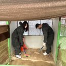 창대사료 이미지