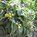 하영올레 2코스 이미지