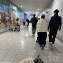 베베시오 | 2026 펫쇼코리아(상) 일산 방문_펫쇼백 당첨 후기!!