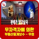 진부동산중개사무소 이미지