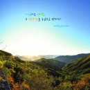 백두건강주식회사 이미지