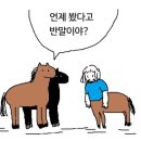 아이예뻐라 네이버블로그