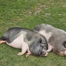 덕바위마을 이미지