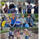 한밤의 사진편지 제 3130호(제 750회 주말걷기 후기 - 황금철 / '26/9/20/일) 이미지
