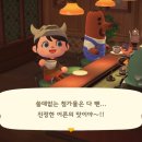 둥지카페 네이버블로그