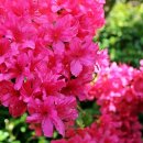 부천-중동-부천-013 이미지