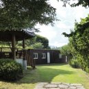 산약초에 대한 이해 | 한국임업진흥원 산양삼산약초홍보교육관에서