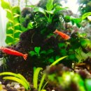 경동오토패밀리 이미지