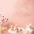 애프터눈 이미지