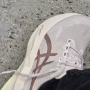 대안슈퍼 | 아식스 홍대직영점 방문기 슈퍼블라스트3 노바블라스트6 사이즈 실착 비교 후기