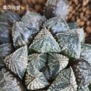 러블미