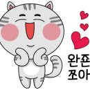 아리엘네일#