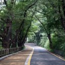 예산유지 이미지