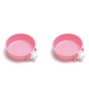 블루켄넬 | 강아지 해외이동 비용 후기! (인도 첸나이)