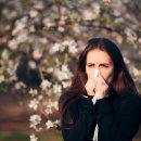 알레르기 이미지