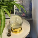 남천1-303 | 여름날47. 내 추억 붙잡아