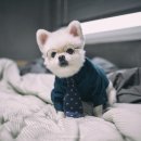 여울안경 이미지