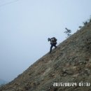 성원eng Daum카페