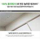 주식회사비앤비