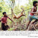 (주)신성개발