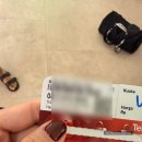 호텔정글(jungle) | 발리 여행 - 우붓 리조트 Magical Jungle Resort 풀 패키지 후기 (완전 정글 + 장/단점) + 원숭이 만남 🐒