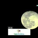 미리내항공여행사 - 11286 | 미리내항공여행사
