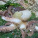 해남성쭈꾸미 이미지