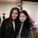 조하컴퍼니 이미지