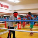 평촌 권투체육관 이미지