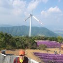 감악산등산과 국화 축재 이미지