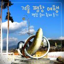 평창송어축제 | 겨울 평창 여행(1)_어복 없는 사람의 평창 송어 축제 후기