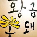 황금꽃돼지 이미지