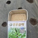 5월 21일(목) / 소만, 부부의날 /행복한 하루 되세요! 이미지