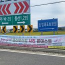 호법 코스모스길 이미지