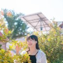 협재둥지 | 다시 가본 제주 협재 독체 풀빌라 협재둥지