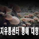 우리농산물유통센터 - 종로구 종로39길 2 | 우리농산물유통센터