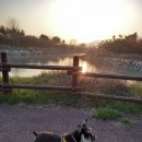 찬들공원 이미지