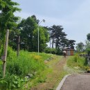 현대의상(심화) 이미지