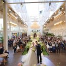 DC080 | Wedding 16 _ 주례없는 결혼식 식순 (수원 더아리엘) + 무료나눔