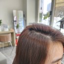 뷰티현 - 화성시 영통로60번길 31 | 반월동미용실 뷰티현 여자컷 여자단발머리커트 뿌리염색 후기