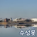 수성못 관광안내소 | 수성못 대구 여행 1박2일 가볼만한곳 여행 코스 코인 락커 뚜벅이