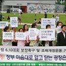 진보시장 광장 이미지