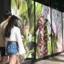 그림벽화 이미지