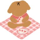 도도한댕댕 네이버블로그